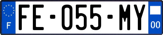 FE-055-MY