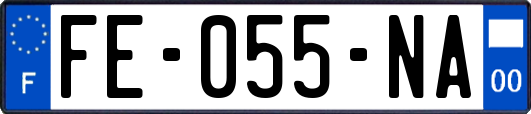 FE-055-NA