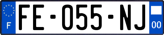 FE-055-NJ
