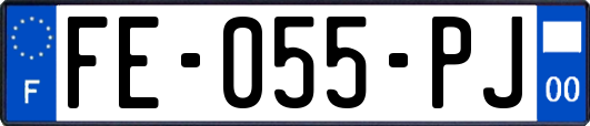 FE-055-PJ