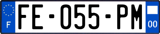 FE-055-PM
