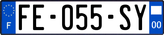 FE-055-SY