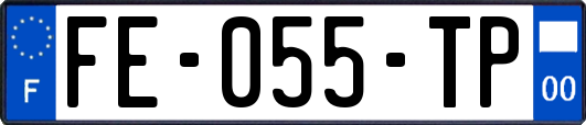 FE-055-TP