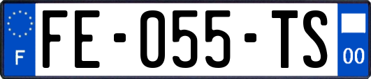 FE-055-TS