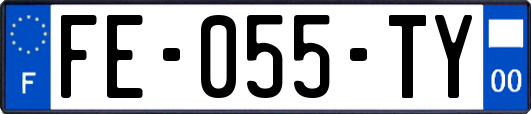 FE-055-TY