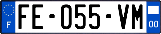 FE-055-VM