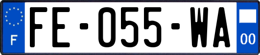 FE-055-WA