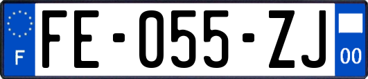 FE-055-ZJ