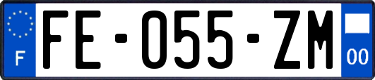 FE-055-ZM