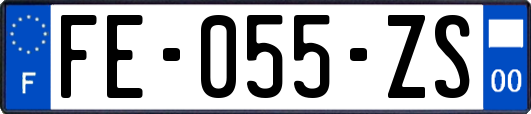 FE-055-ZS