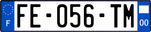 FE-056-TM