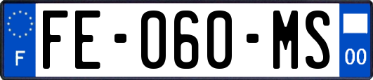 FE-060-MS