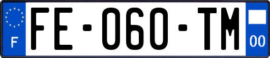FE-060-TM