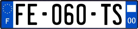 FE-060-TS
