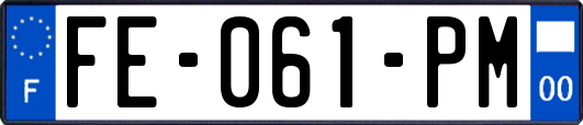 FE-061-PM