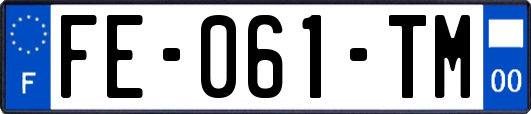 FE-061-TM