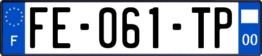 FE-061-TP