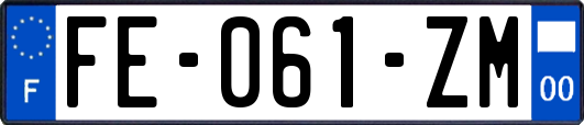 FE-061-ZM