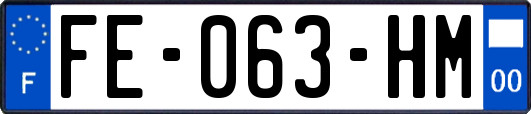 FE-063-HM