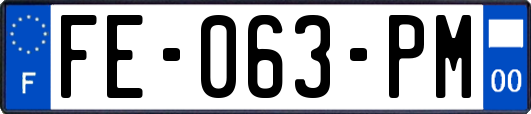 FE-063-PM