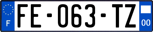 FE-063-TZ