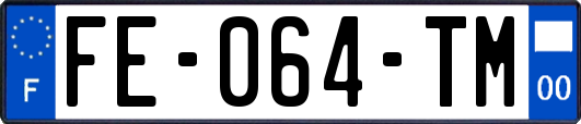 FE-064-TM