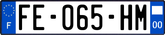 FE-065-HM