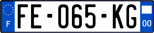 FE-065-KG