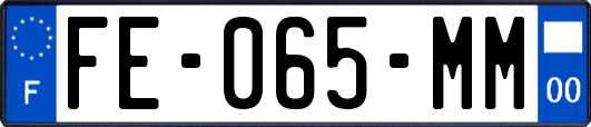 FE-065-MM