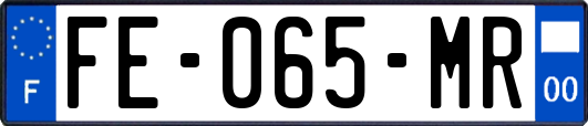 FE-065-MR