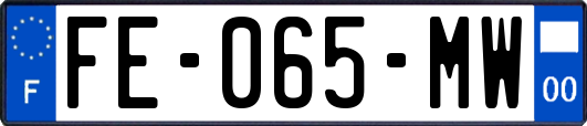 FE-065-MW