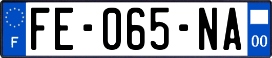FE-065-NA
