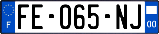FE-065-NJ