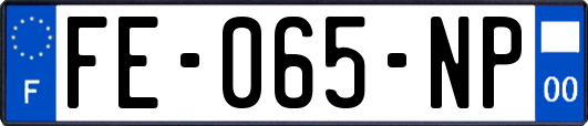 FE-065-NP