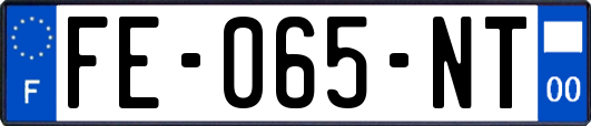FE-065-NT