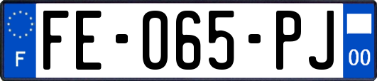 FE-065-PJ