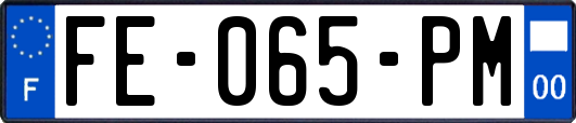 FE-065-PM