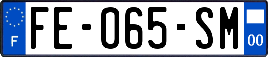 FE-065-SM