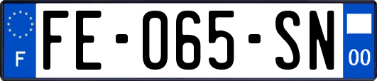 FE-065-SN