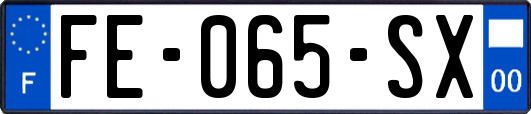FE-065-SX