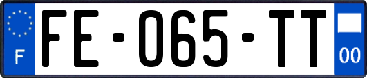 FE-065-TT