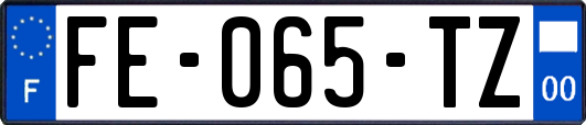 FE-065-TZ