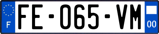 FE-065-VM