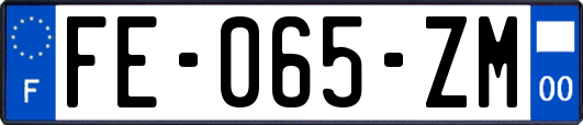 FE-065-ZM