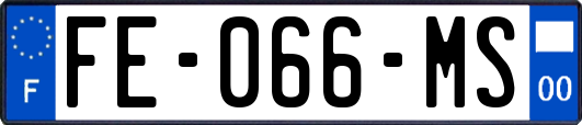 FE-066-MS