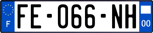 FE-066-NH