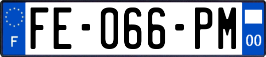 FE-066-PM