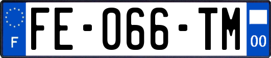 FE-066-TM