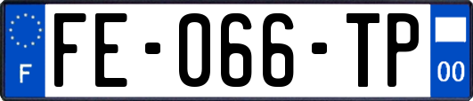 FE-066-TP