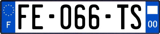 FE-066-TS